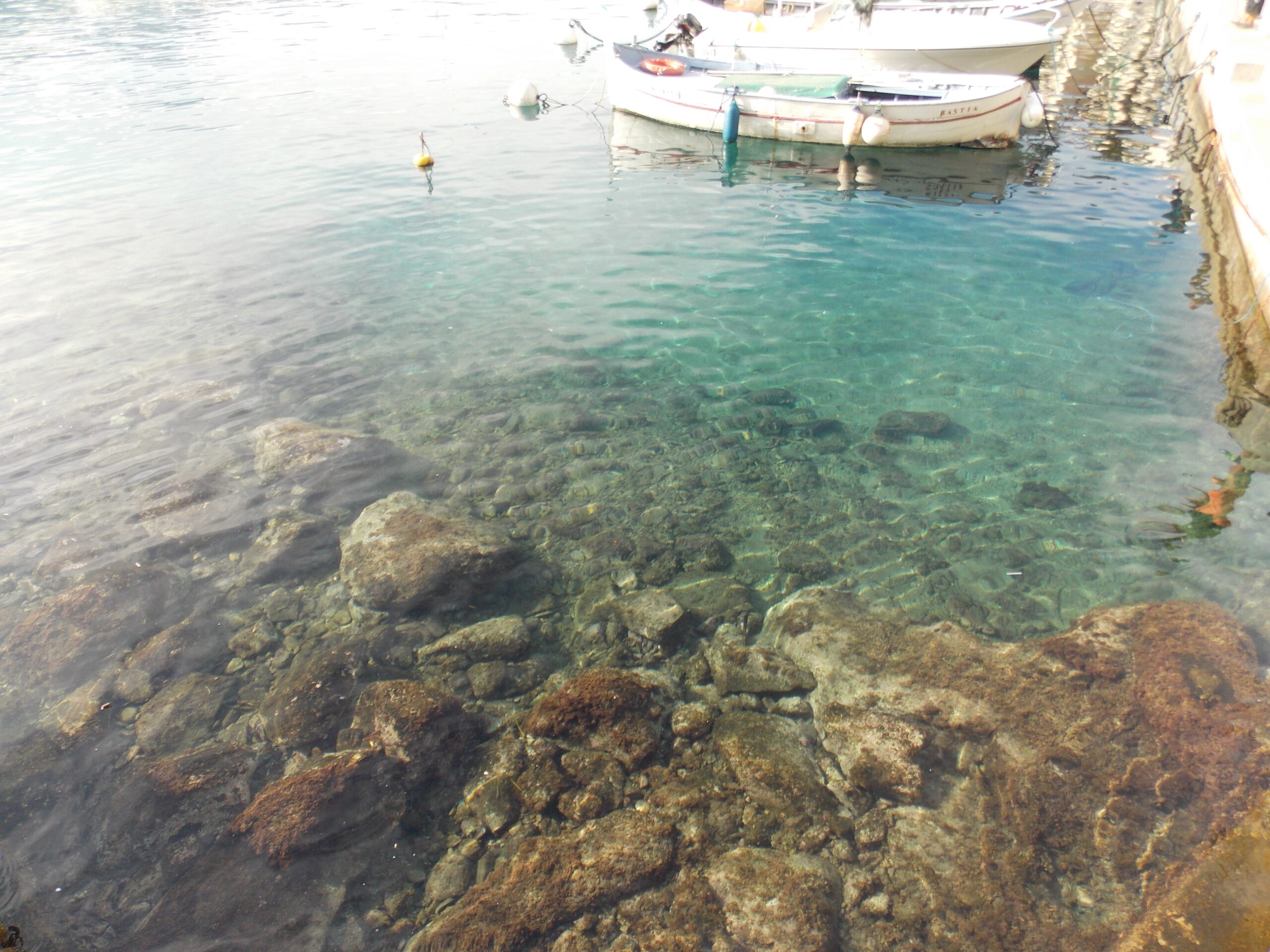 Thompson Cruise- Day 3. Calvi, France