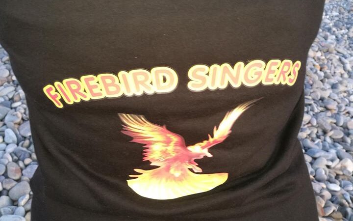 My Talented Friends ~ Firebird Singers
