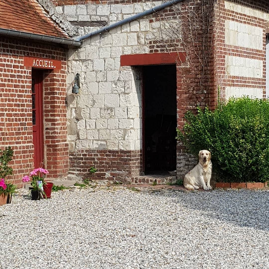 French Cider Farm